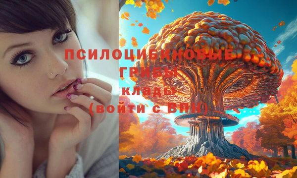 кокаин колумбия Дмитров